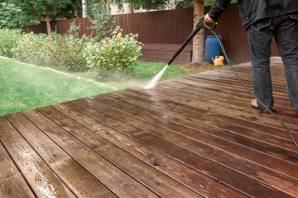 Best Pool Deck Cleaning in Seco Mines, TX
